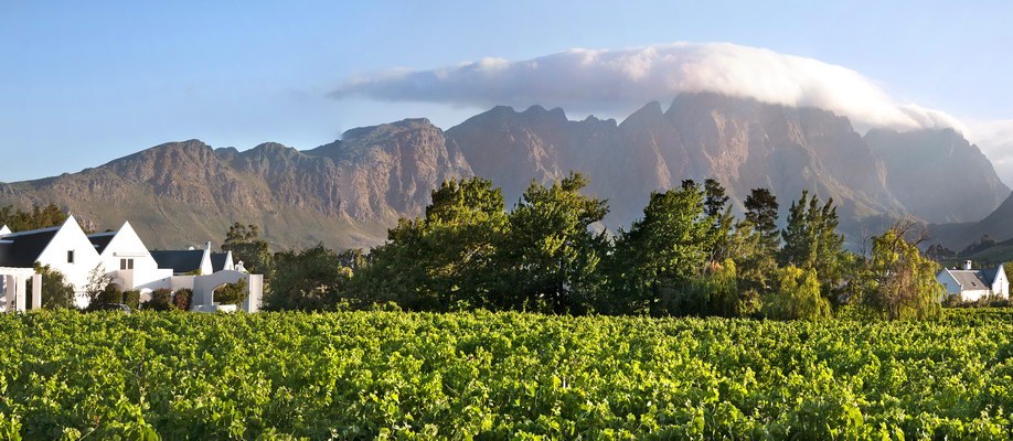 La Ferme Chantelle - Franschhoek